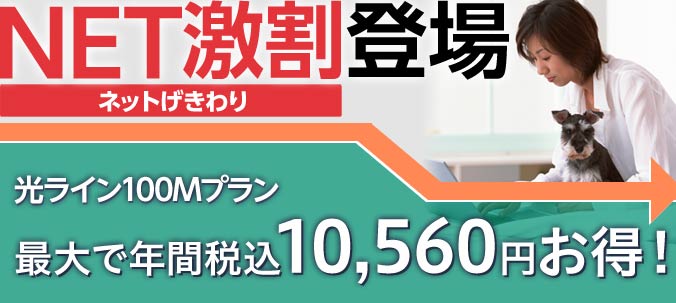 ネット激割登場
光ライン100Mプラン　最大で年間税込10,560円お得！