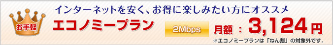 エコノミー
インターネットを安く、お得に楽しみたい方にオススメ
2Mbps 月額3,124円