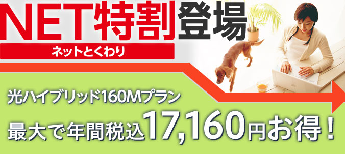 ネット特割登場
光ハイブリッド160Mプラン　最大で年間税込17,160円お得！